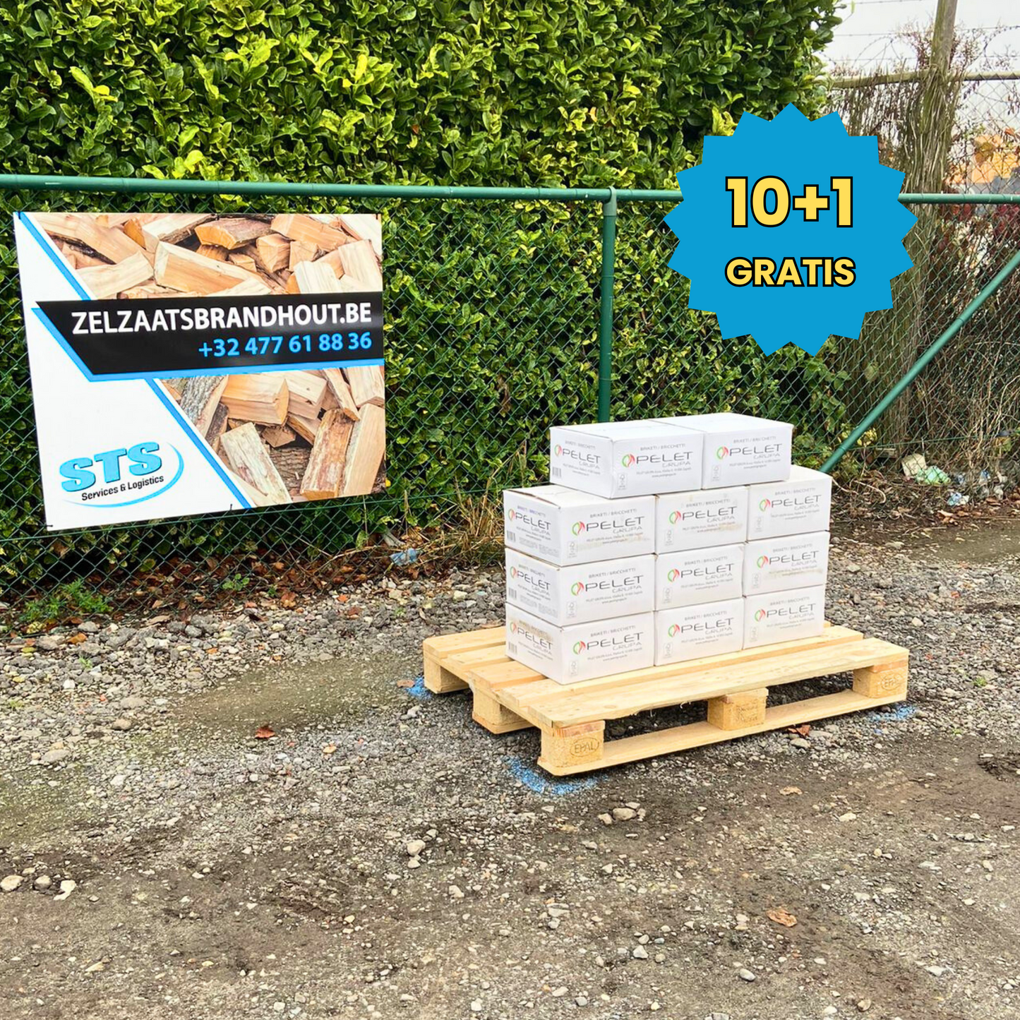 Nestro Briketten / 10+1 GRATIS