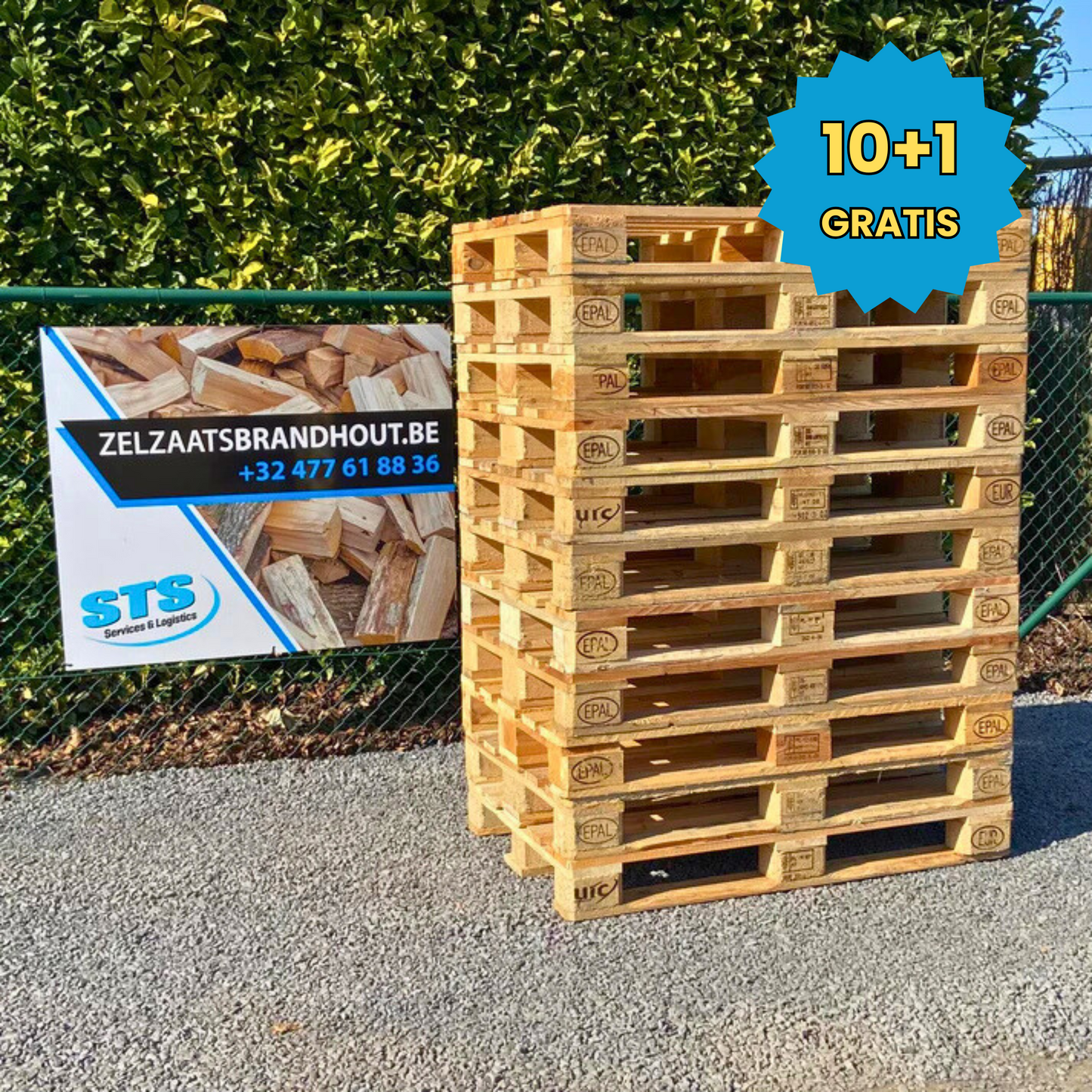 Europallet / 10 + 1 GRATIS