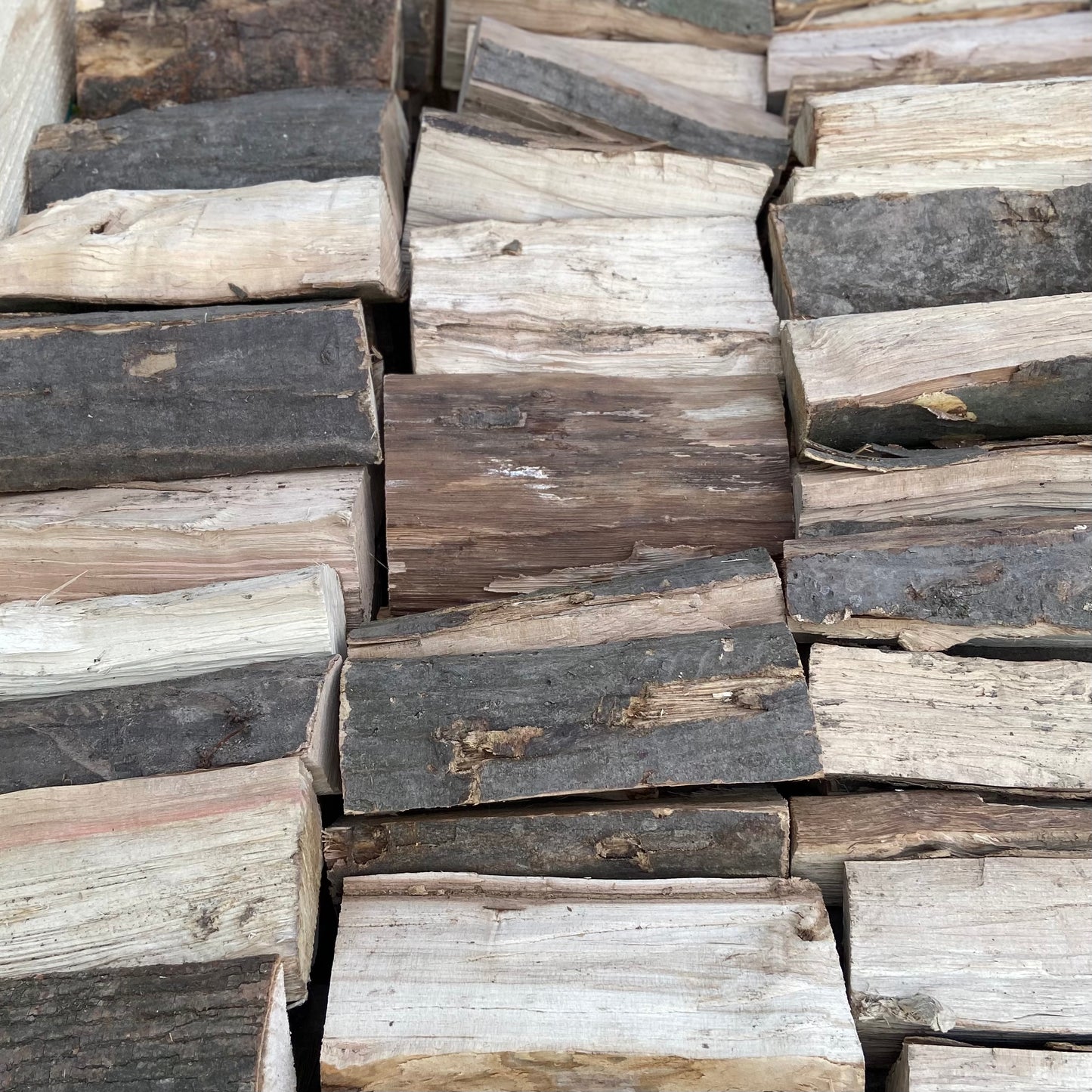 Haagbeuk - Ovengedroogd - 1 kub