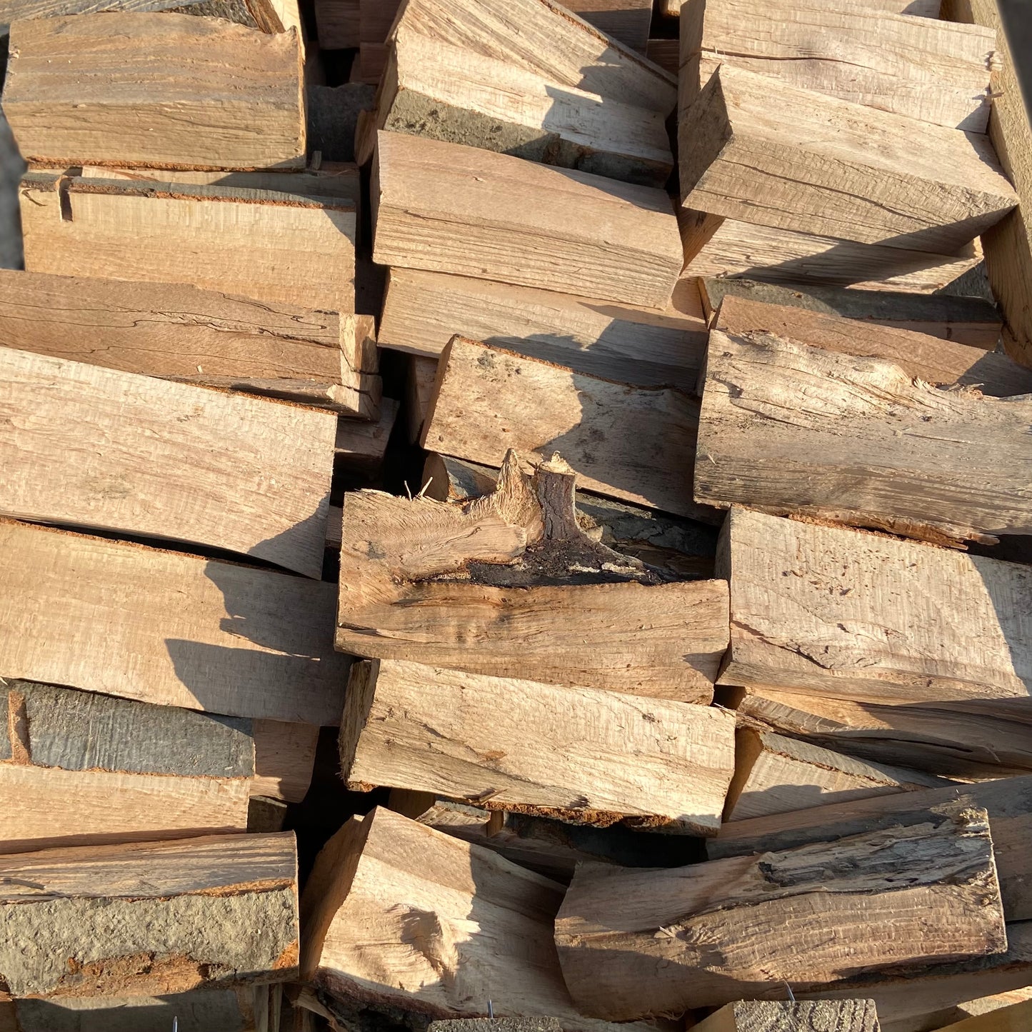 Beuk - Ovengedroogd - 1,6 kub