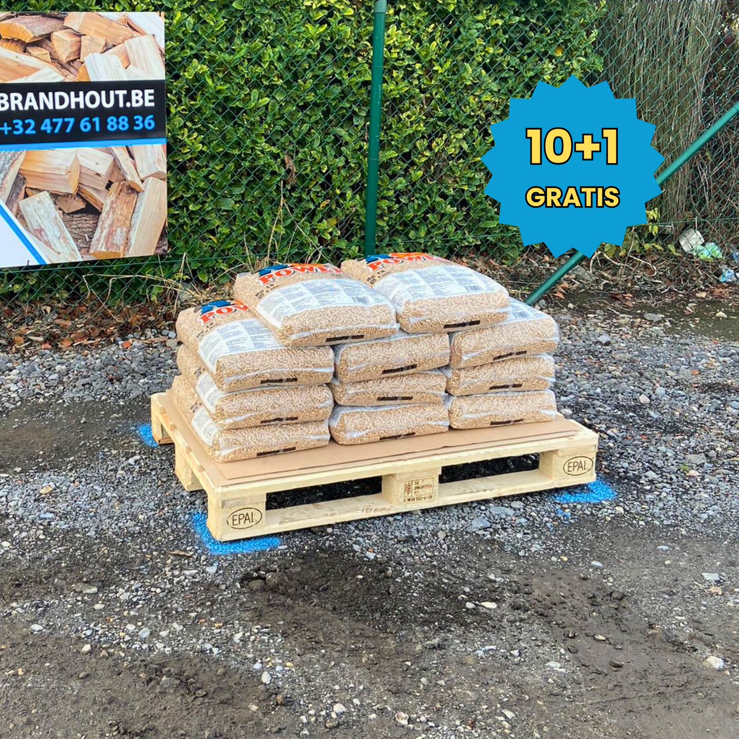 Power+ Pellets / 10+1 GRATIS