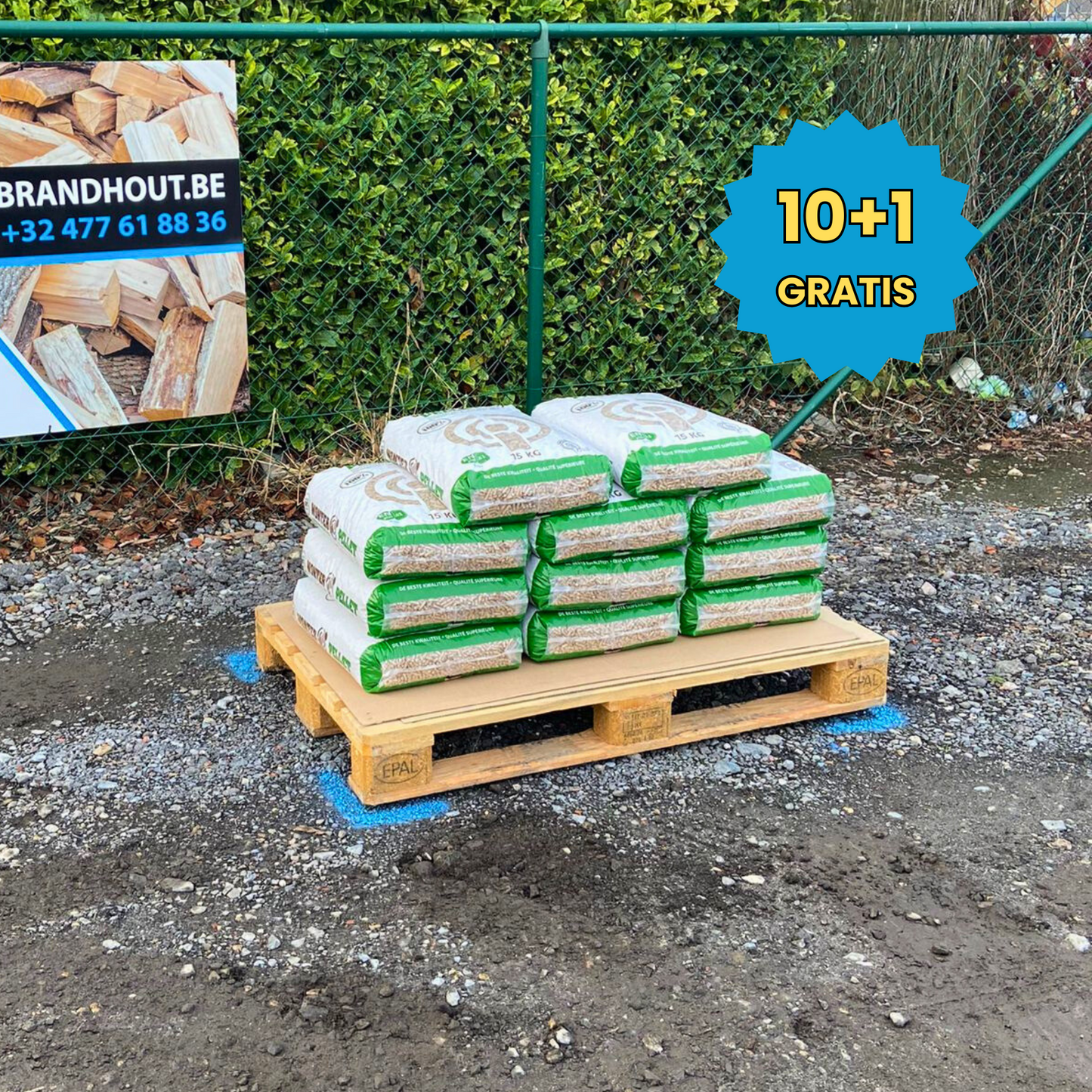 Wonter Pellets / 10+1 GRATIS