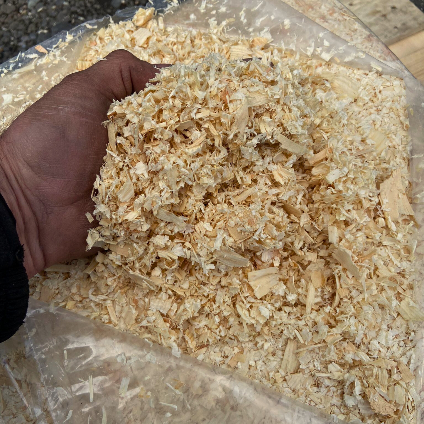 Houtkrullen - Pak van 20 kg / 10+1 GRATIS