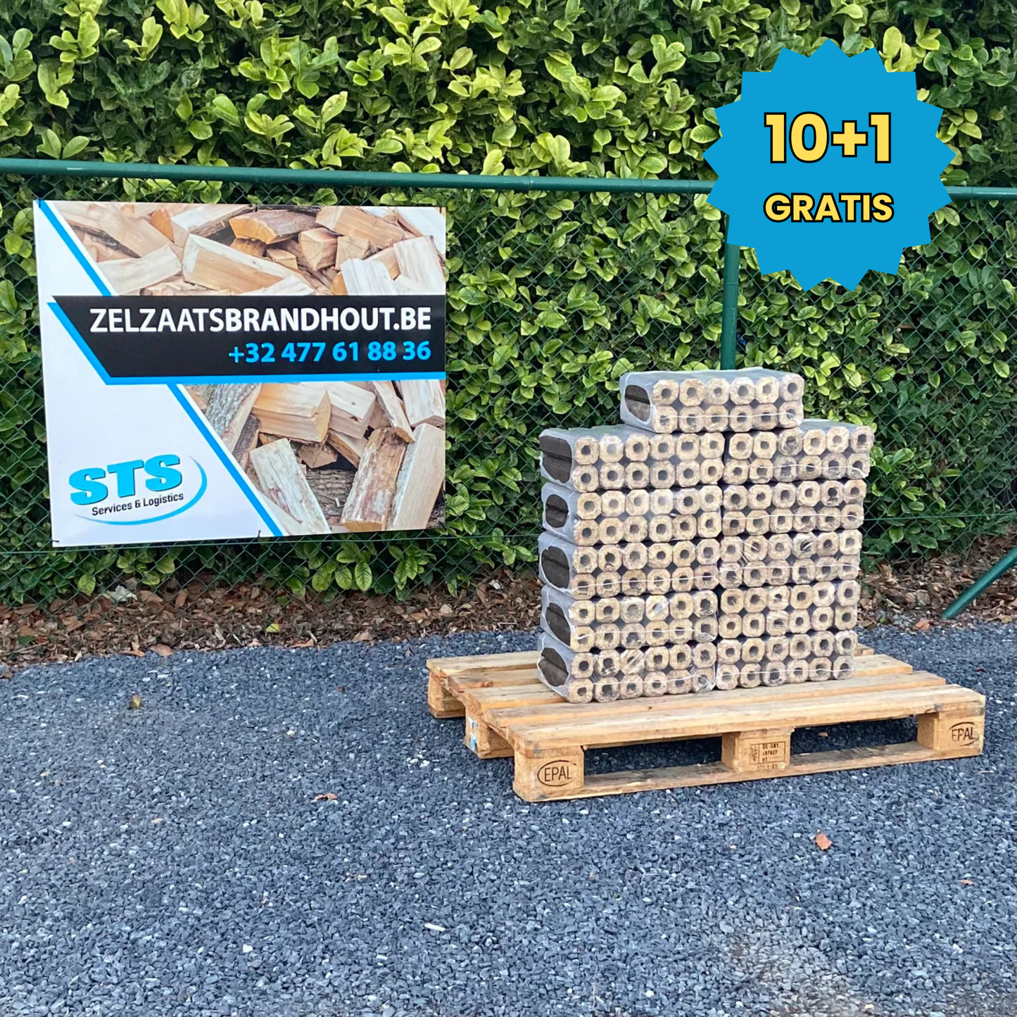 Pini Kay hardhout briketten / 10+1 GRATIS