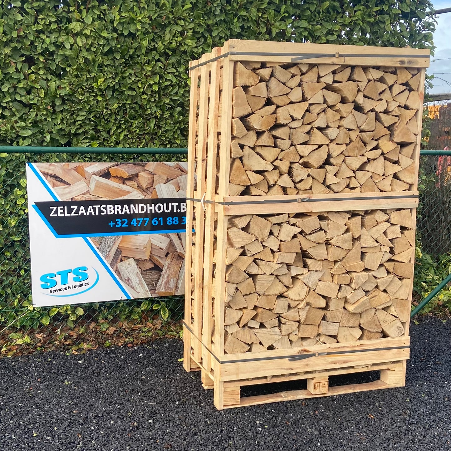 Haagbeuk - Ovengedroogd - 1,8 kub