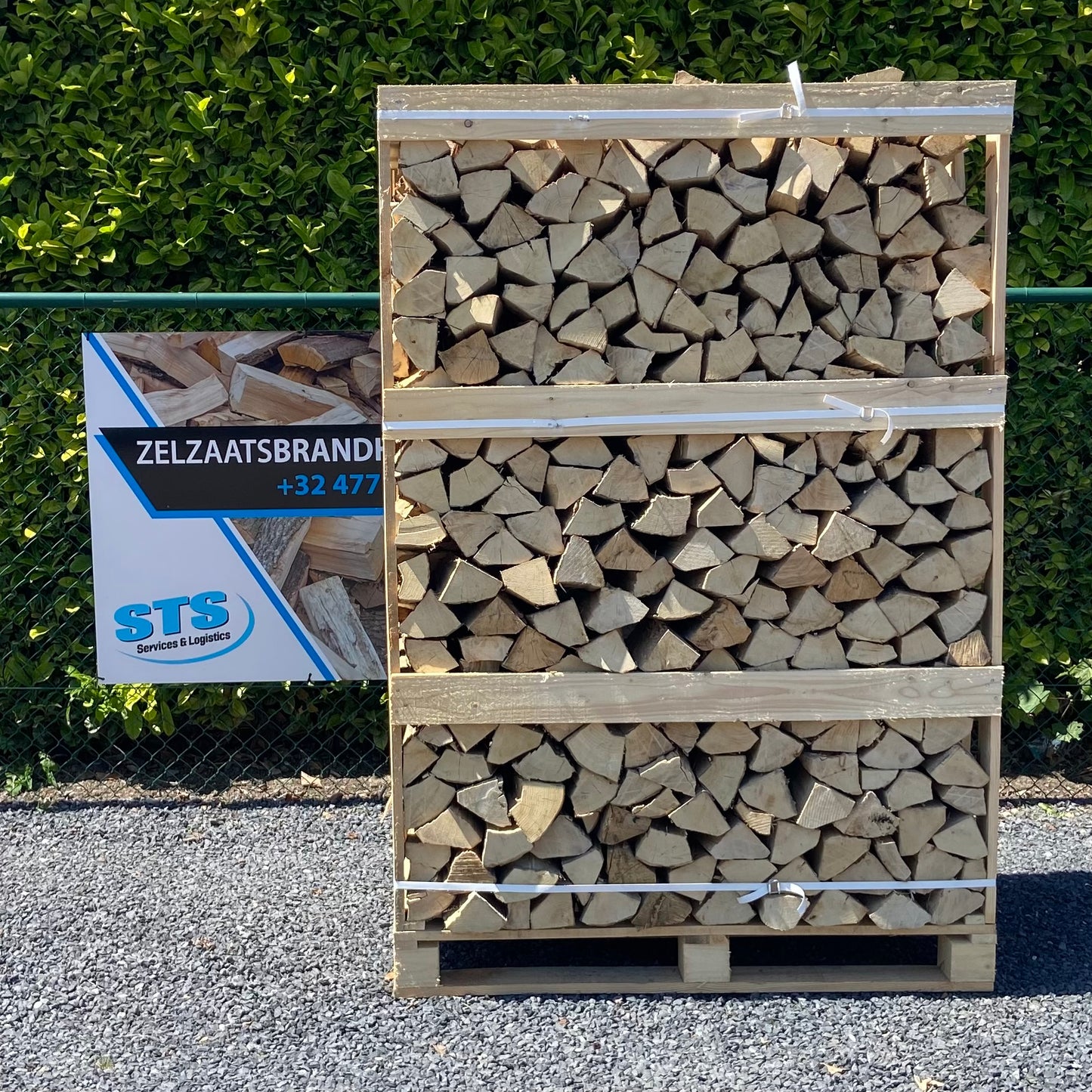 Haagbeuk - Ovengedroogd - 1,6 kub