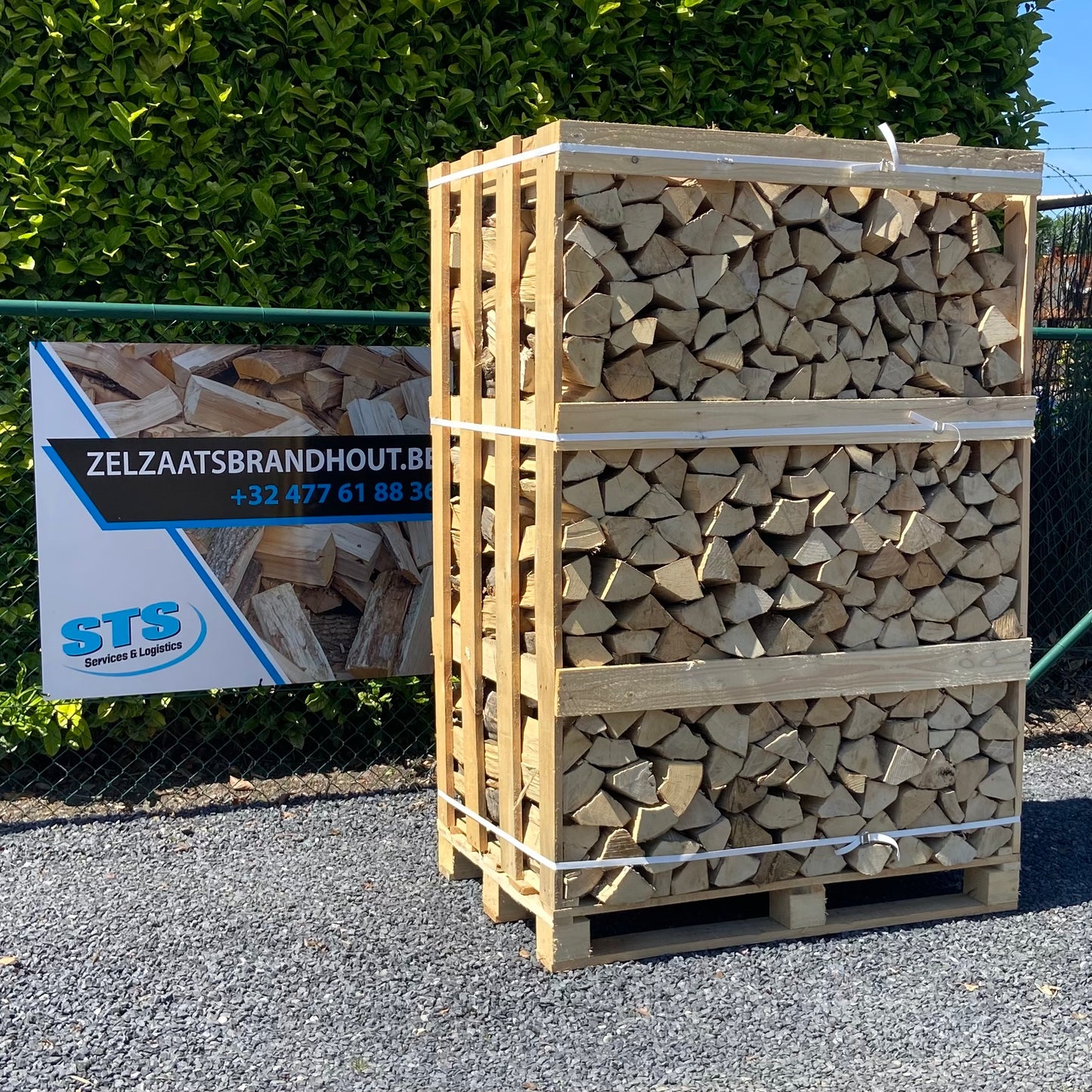 Haagbeuk - Ovengedroogd - 1,6 kub