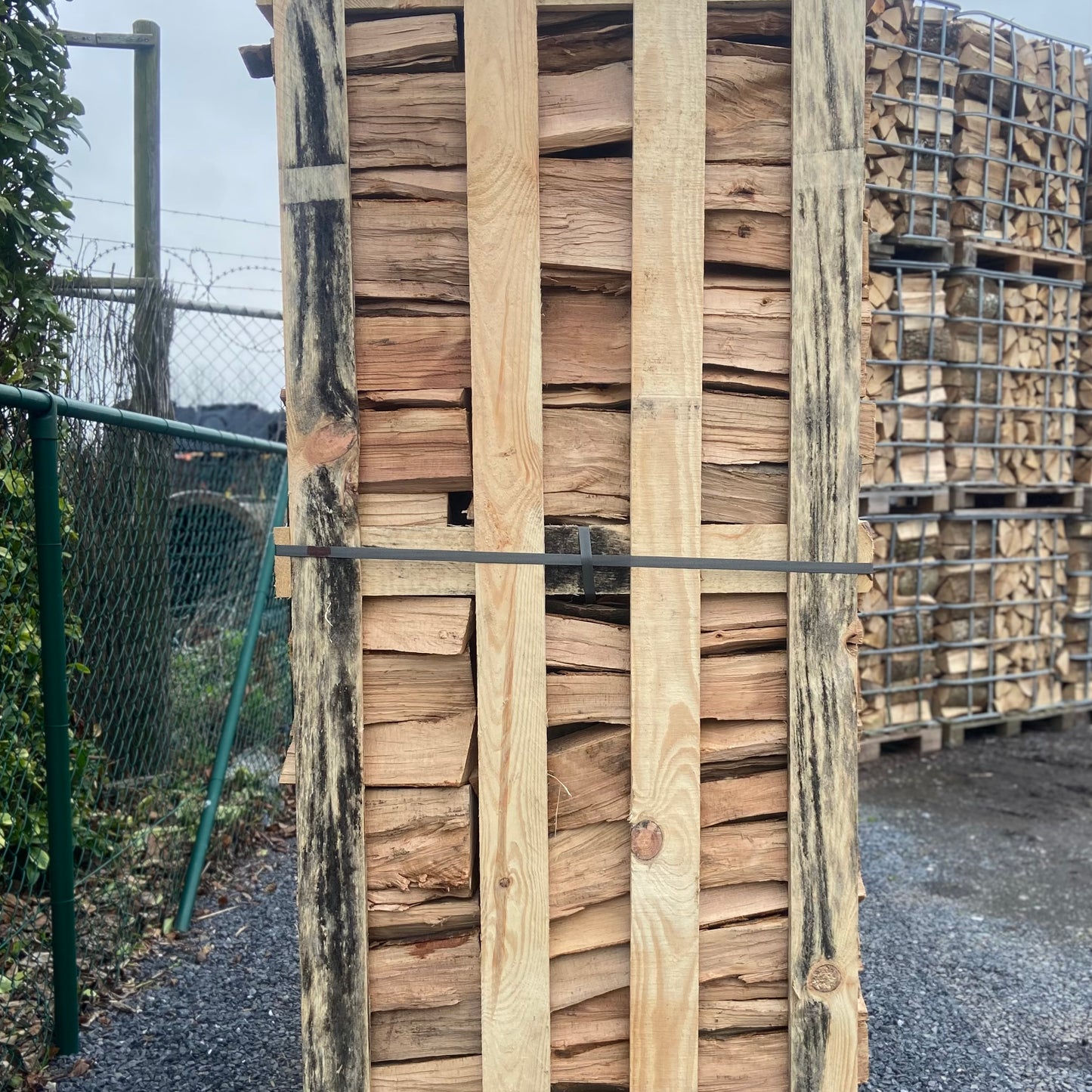 Beuk - Ovengedroogd - 1,8 kub