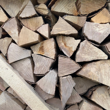 Haagbeuk - Ovengedroogd - 1 kub