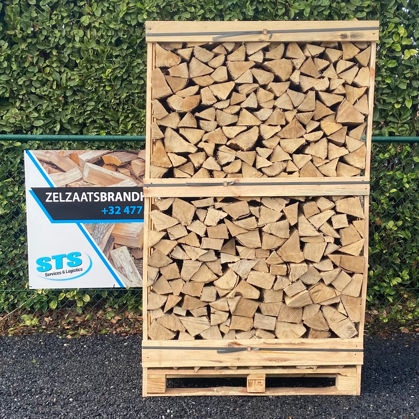 Haagbeuk - Ovengedroogd - 1,8 kub