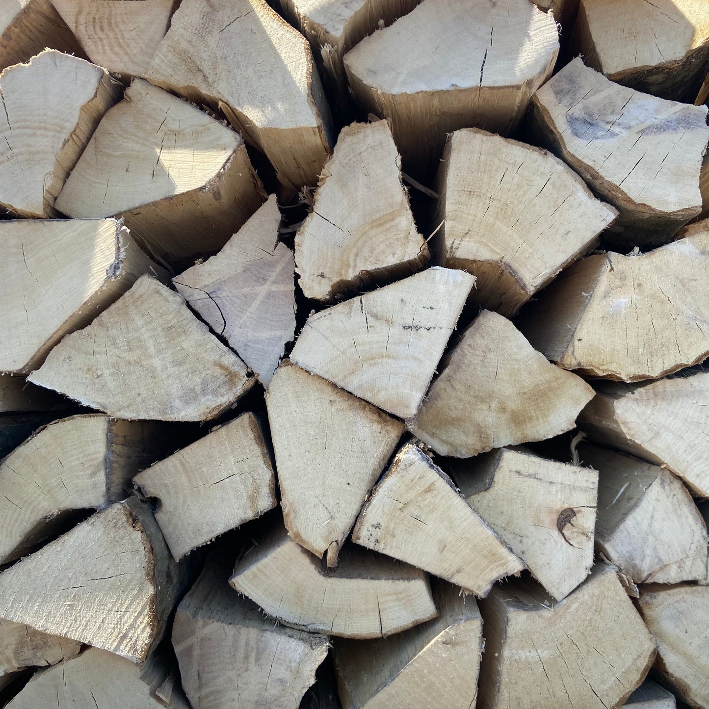 Haagbeuk - Ovengedroogd - 1,6 kub