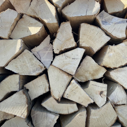 Haagbeuk - Ovengedroogd - 1,6 kub